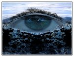 winters-eye-2.jpg