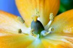 editDSC_6054.JPG