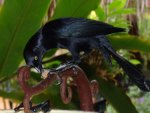 DSC02737-1.jpg