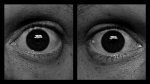 SP8_Augen.jpg