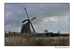 kinderdijk.jpg