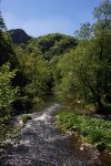 IMG_6326k.jpg