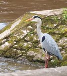 TKK20100527_084_f.jpg