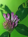 TKK20100605_122.jpg