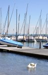 am_bodensee_02.jpg