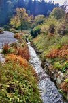 52 - 20091019 - 113753 - Bearbeitet.jpg