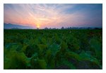 DSC_0189-Sunrise Schweizer Mittelland.jpg
