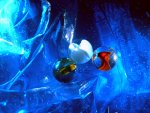 IMAG0030.JPG