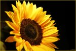 IMG_3531_be_klein.jpg