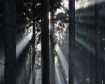 Licht_900.jpg