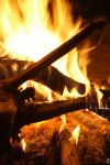 fire.jpg