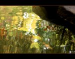 Water's painting.jpg