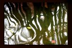 Water's painting (2).jpg