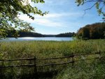 10-10-13_See 4.JPG
