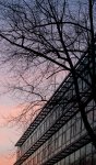 IMG_0038.jpg