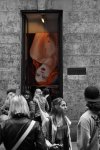 DSC_0048.JPG