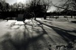 IMG_5444.JPG