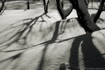 IMG_5453.JPG