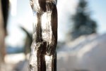 IMG_6033.JPG