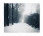 Winter Moment.jpg