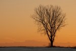 Abend (1).jpg