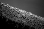 DSC_2242.JPG
