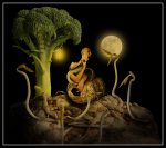 Broccoli-Hill-Serenade.jpg