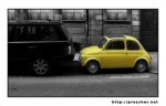 petit-jaune.jpg