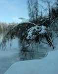 CIMG8420900.jpg
