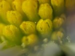 TKK20110402_014.jpg