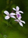 P4162522_FotoFAQ.jpg
