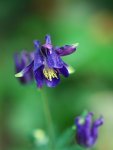 XZ20110509_077.jpg