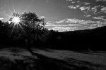 Late Evening.jpg