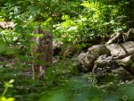 IMGP3705_CR_900.jpg
