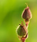 TK20110524_019.jpg