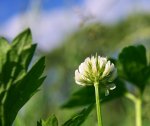 AK20110623_194.jpg