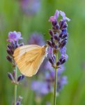 TKK20110626_041-1-4.jpg