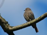 TKK20110810_020.jpg