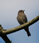 TKK20110810_022.jpg