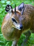 DSC_0005.JPG
