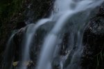 IMG_2240klein.jpg