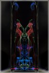 IMG_0339twin.jpg