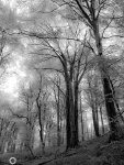 DSCN1454.jpg