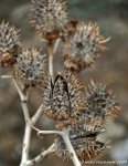 comp_DSC_0429.jpg