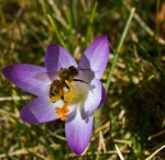 IMG_2843-2.jpg