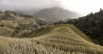 IMG_7847.jpg
