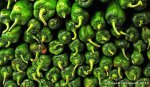comp_DSC_0456.jpg