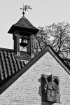DSC04185.jpg