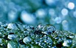 water_world04_1x_small.jpg
