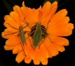 Geminsam_IMG_1846_300kB.jpg